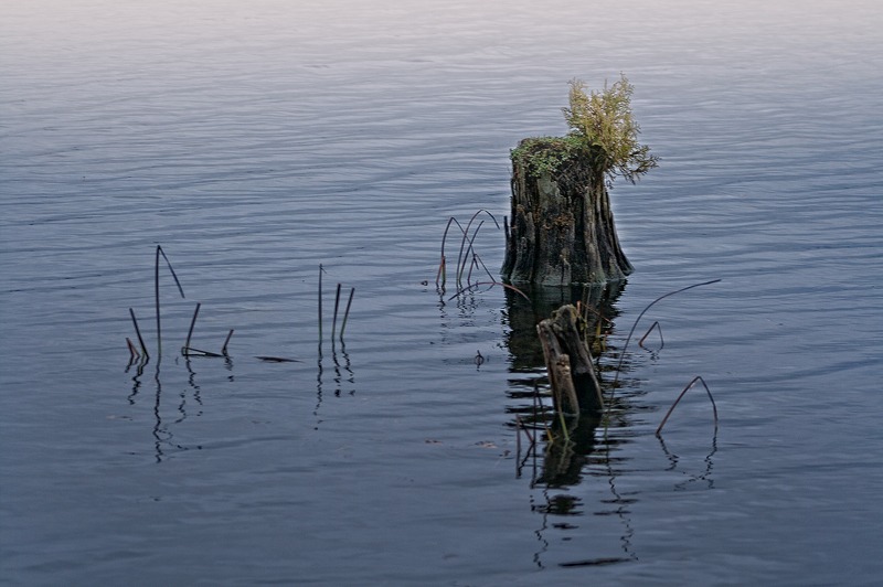 Solitude