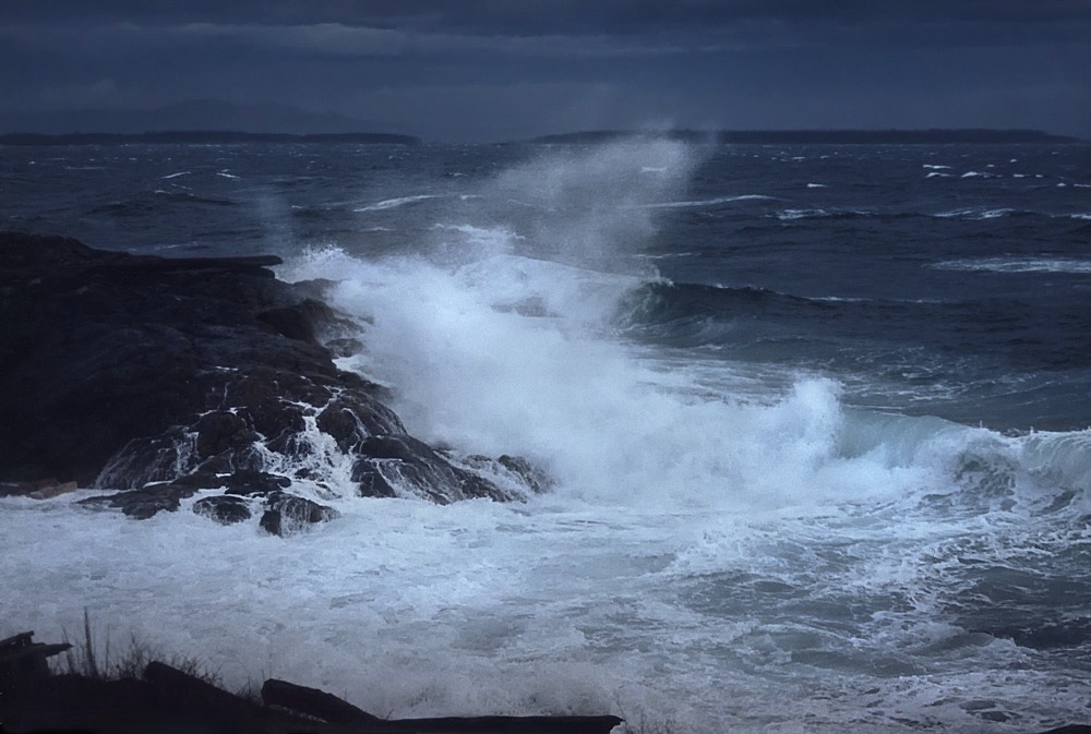 Siren